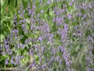 Les formations au lycée CFA du Mené