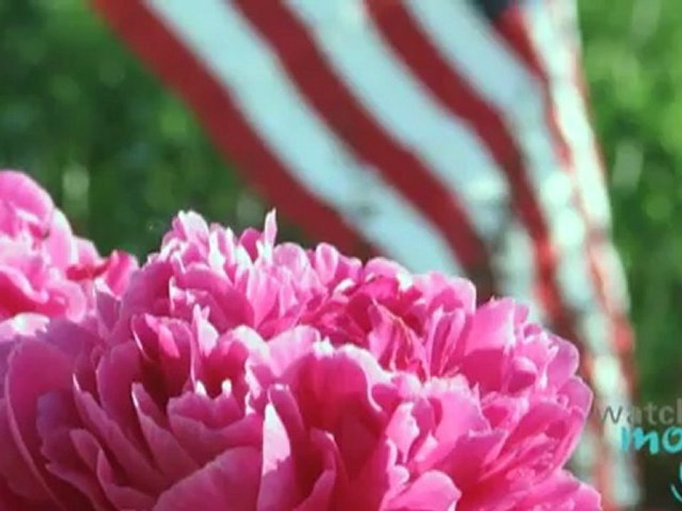Calendar Days: United States Flag Day History