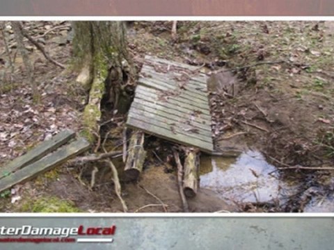 Arlington Heights Flood Damage