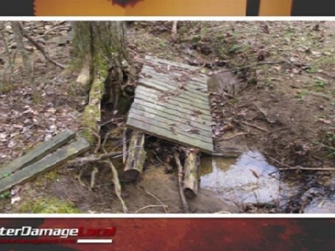 Arlington Heights Storm Damage