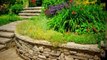 Devine Landscapes - Your Local Landscape Gardeners