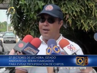 PC Anzoátegui advierte presencia de chipos en Lechería