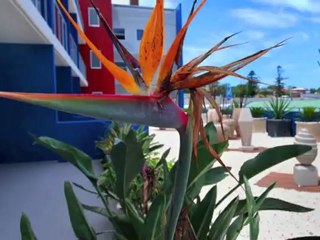 Hotel Resort Property Investment NSW Australia