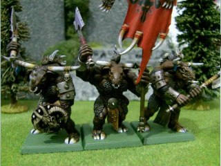 Finished Minotaur Project