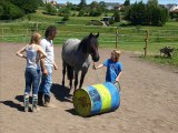 Westernreiten für Familien