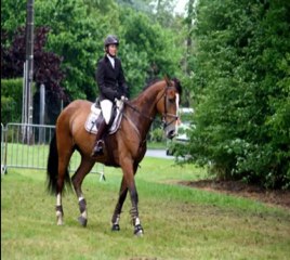 Cécile  à Morchains (photos)