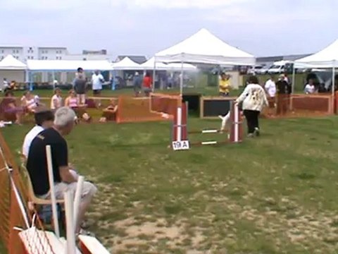 2eme degre chartres 2011