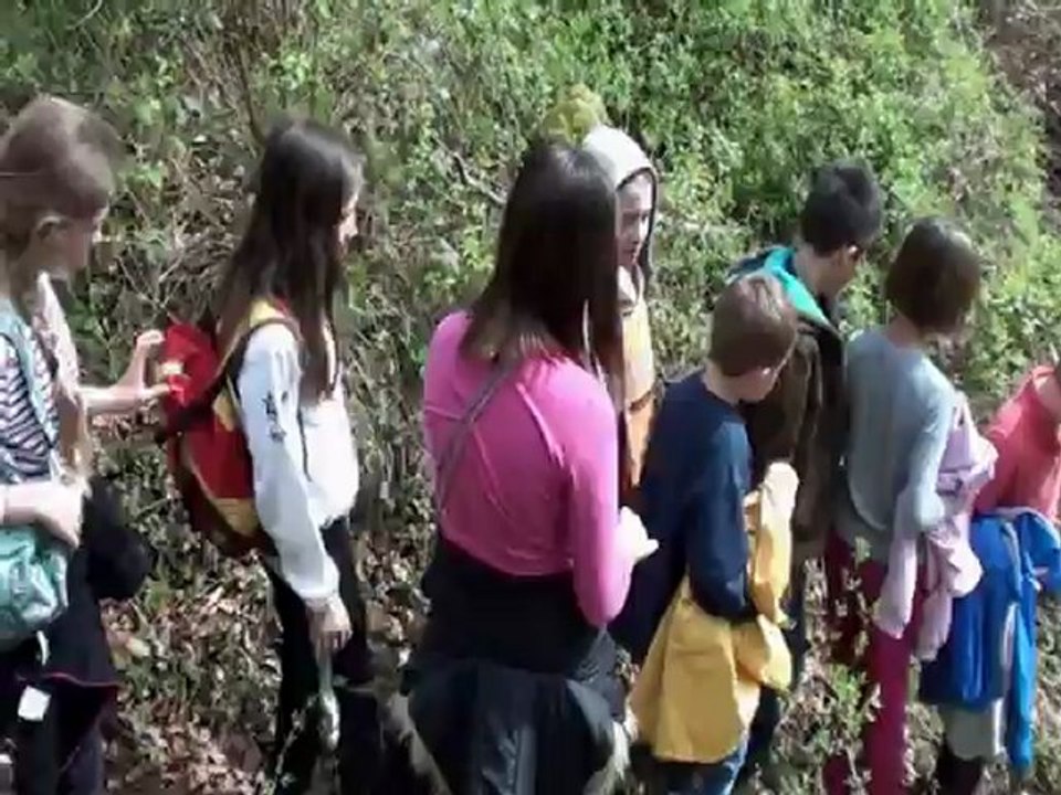 Hamelet TV 22 extrait randonnée bois du Défends