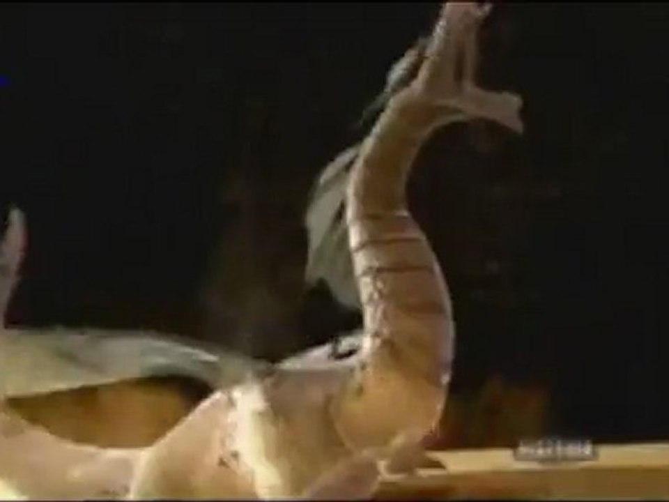 le dragon cracheur de feu
