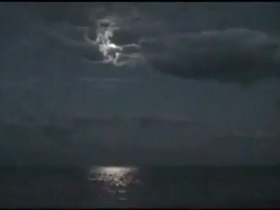 UFO .orb.Fort Myers.  Floride