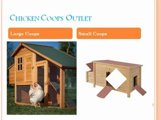 Chicken Coops Outlet