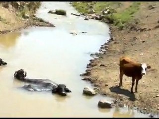 HAKVEYİS KÖYÜ TOPRAK KANAL KÖPRÜSÜ NAHIR CAMIŞLAR