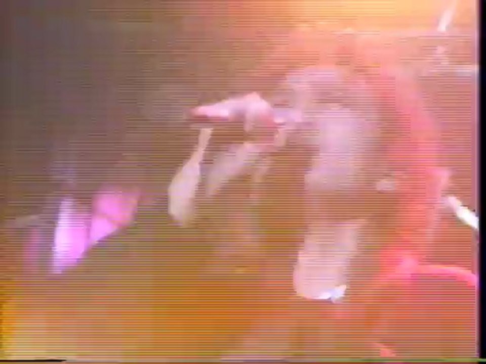 NEW AGE MUSIC / JUN TOGAWA  LIVE PT.2