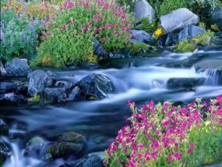 Grup Kervansaray Selat-u Selam Fon Müziği