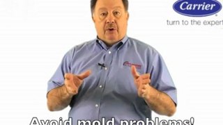HVAC & Air Conditioning Repair - Preventing Mold