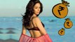 Sexy Mallika Sherawat Ran Away With Rs 75 lacs? - Bollywood Babes