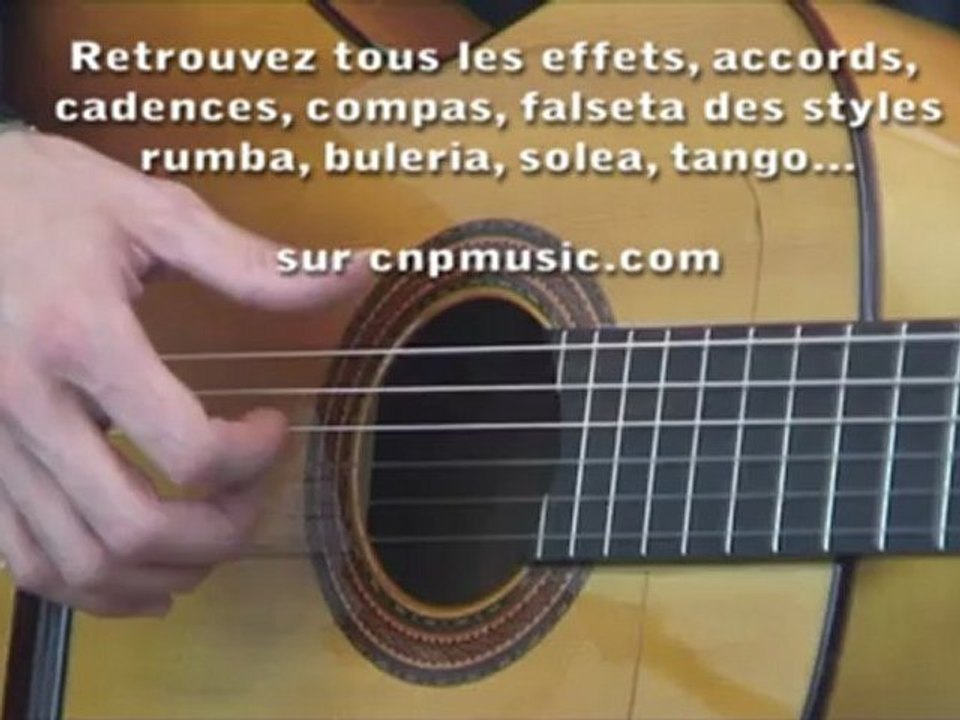 La guitare flamenca