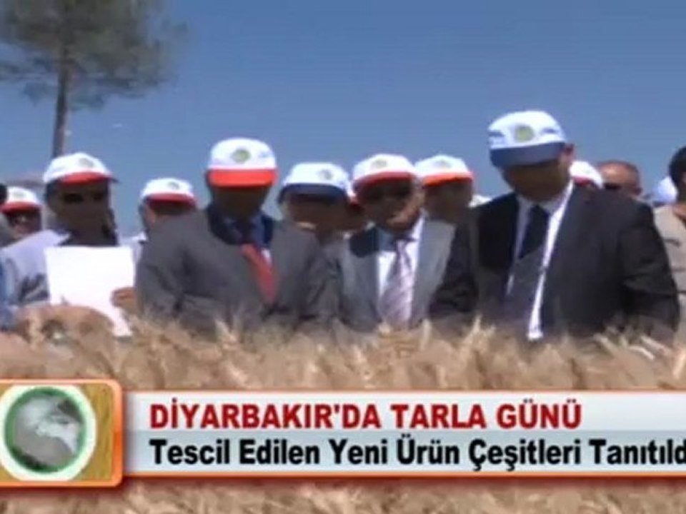 DİYARBAKIR'DA TARLA GÜNÜ
