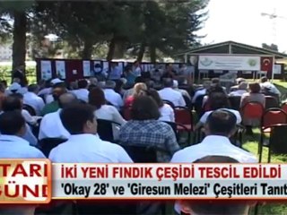 İKİ YENİ FINDIK ÇEŞİDİ TESCİL EDİLDİ