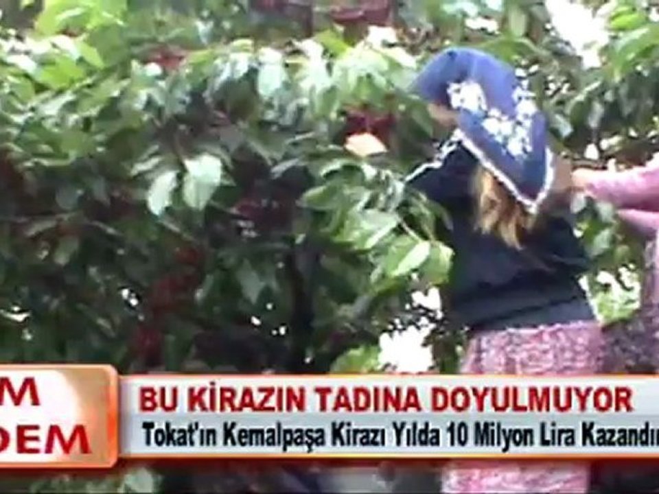BU KİRAZIN TADINA DOYULMUYOR