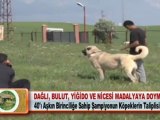 DAĞLI, BULUT, YİĞİDO VE NİCESİ MADALYAYA DOYMUYOR