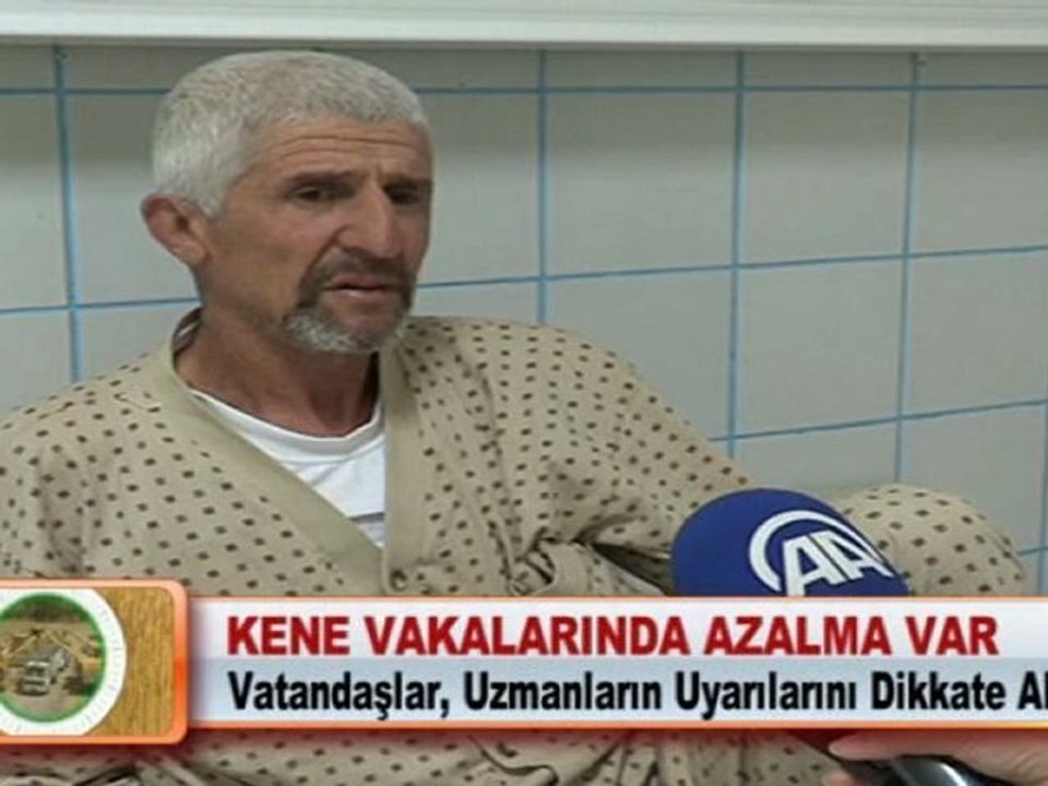 KENE VAKALARINDA AZALMA VAR