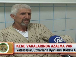 KENE VAKALARINDA AZALMA VAR
