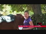 Saddle Pads - We are the #1 provider World Wide. Cavallo Inc