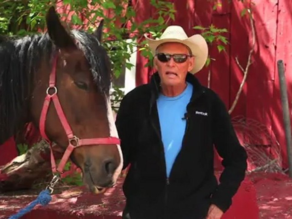 Horseback Riding Ottawa - Is there horseback riding in the winter?