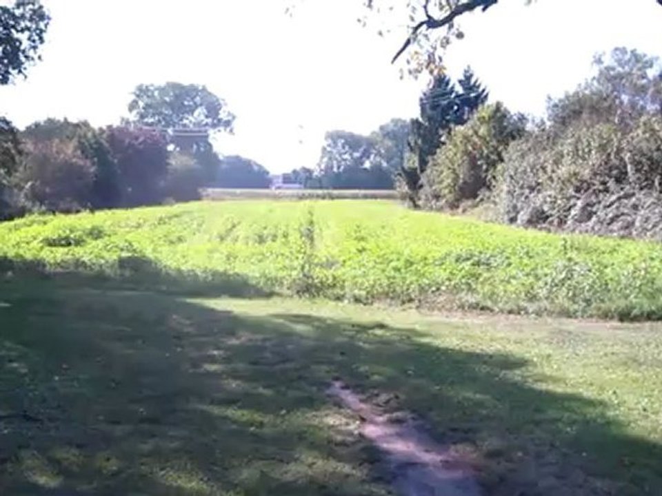 A1 Kap. 06 Imperativ Hörtext Himmel blau