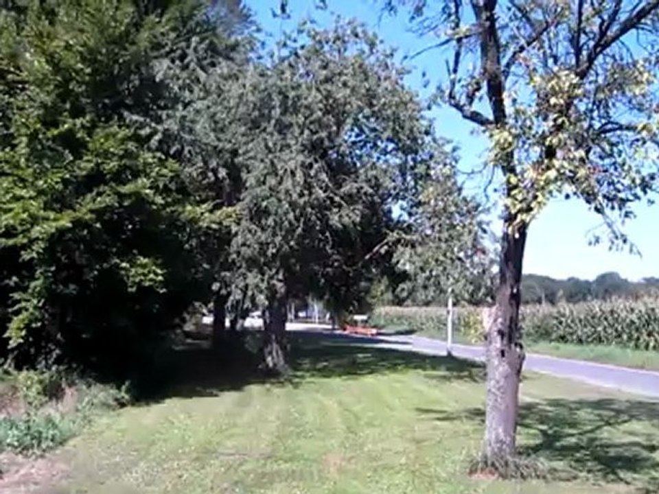 C1-C2 idiomatische Redewendungen Hörtext Bäume ausreißen