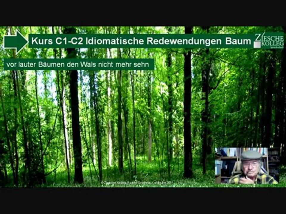 C1-C2 idiomatische Redewendungen Hörtext den Wald voller Bäume nicht...