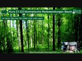 C1-C2 idiomatische Redewendungen Hörtext den Wald voller Bäume nicht...