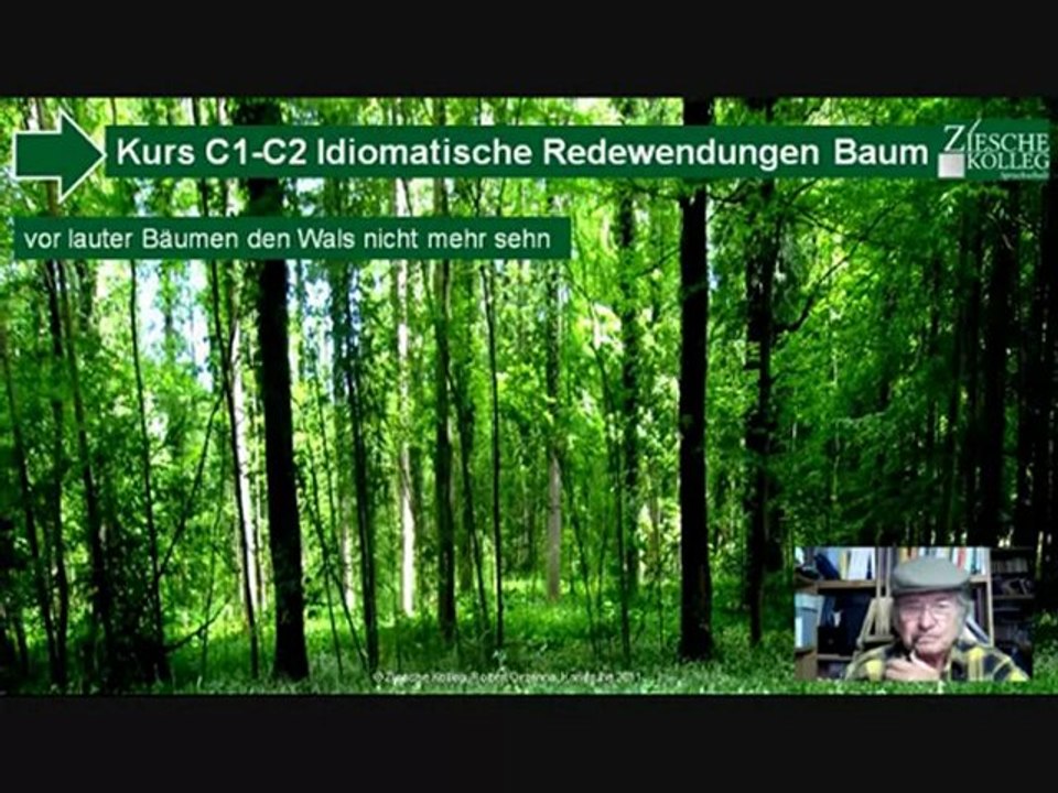 C1-C2 idiomatische Redewendungen Hörtext den Wald voller Bäume nicht...