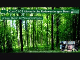 C1-C2 idiomatische Redewendungen Hörtext den Wald voller Bäume nicht...