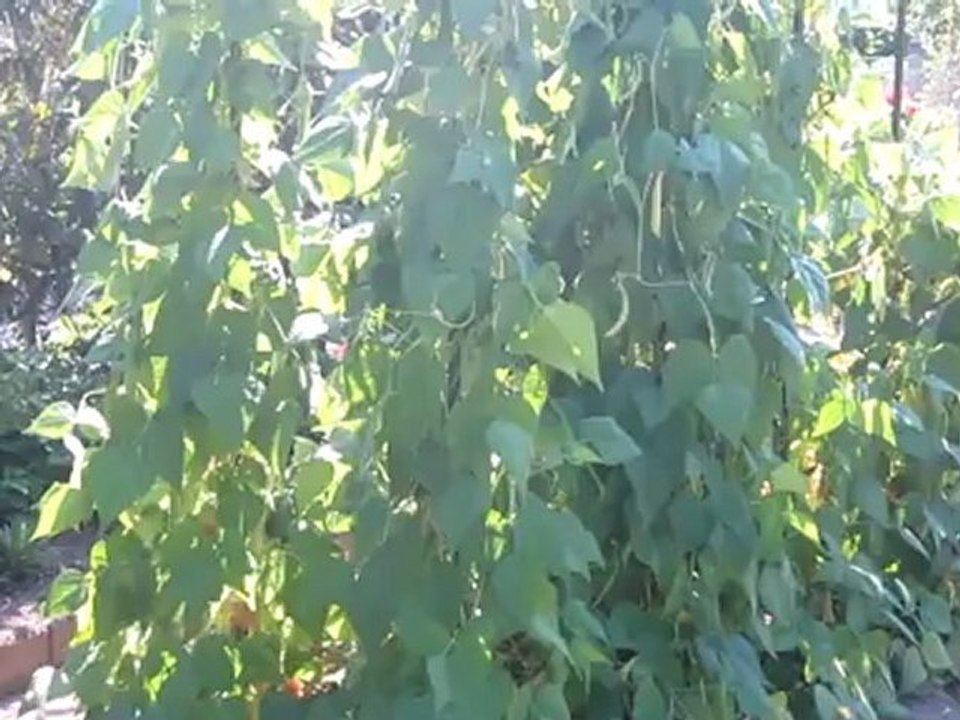 C1-C2 idiomatische Redewendungen Hörtext keine Bohne wert