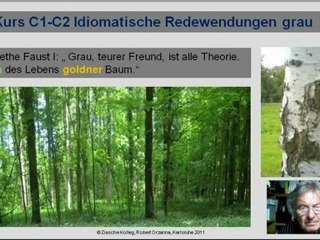 C1-C2 Goethe Grau ist alle Theorie ...