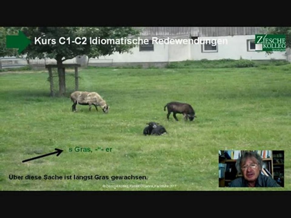 C1-C2 idiomatische Redewendungen Hörtext Darüber ist schon längst Gras ...
