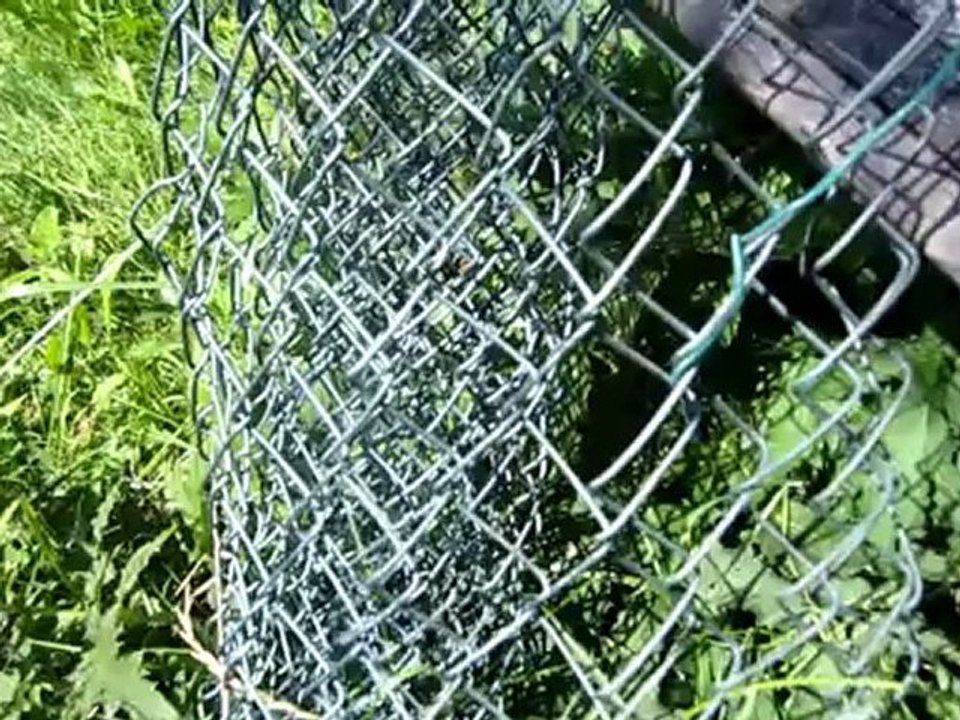 C1-C2 idiomatische Redewendungen Hörtext Auf Draht sein