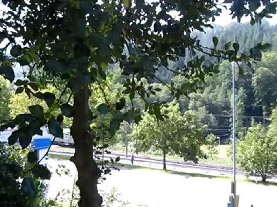 A1-DSH Text/Videobeschreibung: Da faucht, pfeift und raucht doch etwas