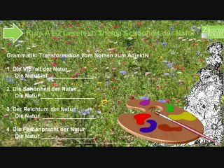 Kurs A1-A2 Thema  Natur Gram. Transformationen  Nomen Adjektiv