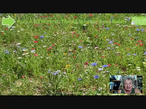 Kurs A1-A2 Hörtext Thema Schönheit und Pracht der Natur