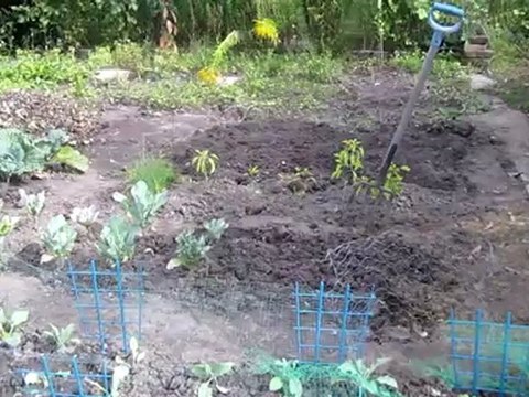 A2-B1 DaF Collektion Thema Unkraut jäten Beispiel 01