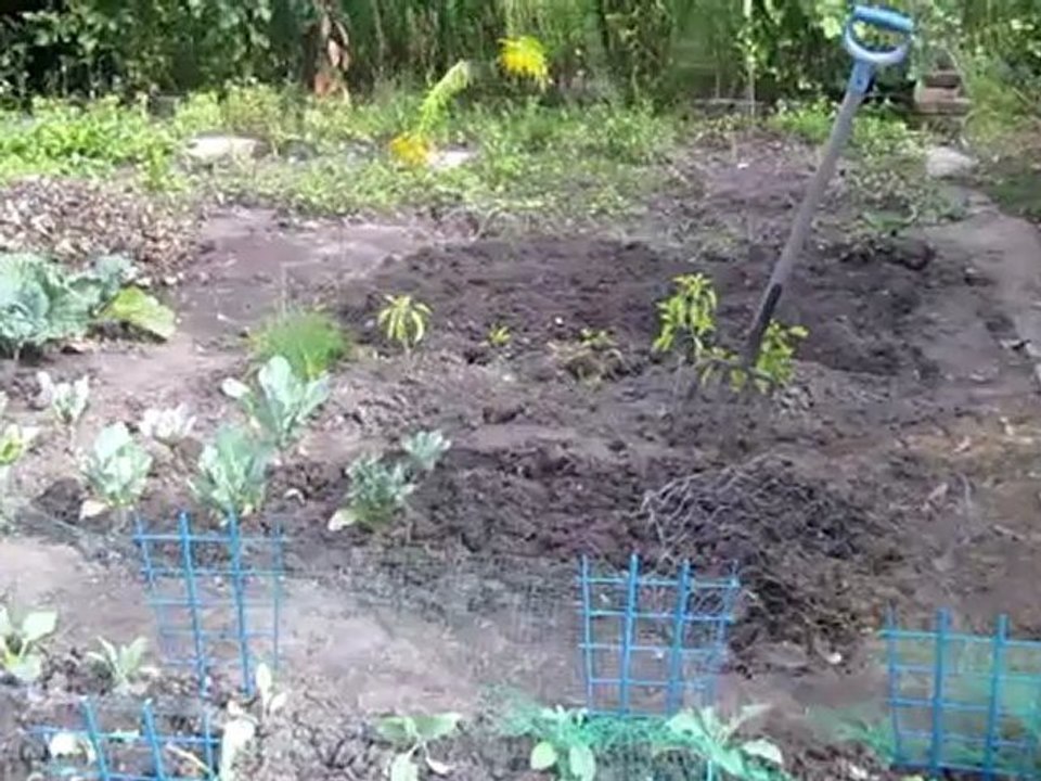 A2-B1 DaF Collektion Thema Unkraut jäten Beispiel 01