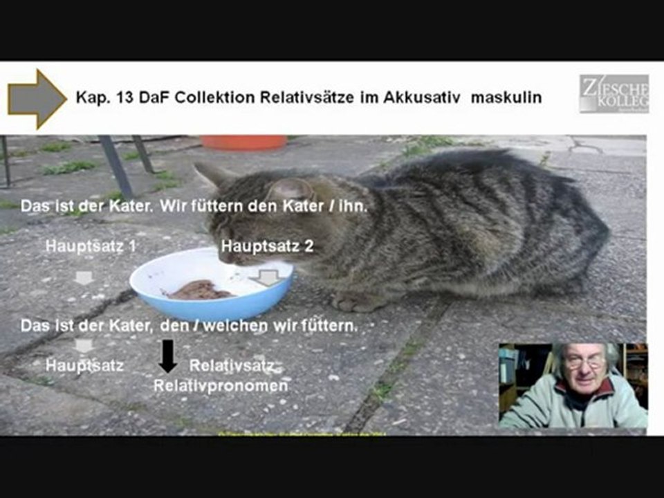 Kap 13 Daf Collektion Grammatik Relativsatz im Akkusativ maskulin
