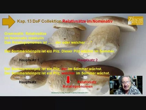 Kap. 13 DaF Collektion Grammatik Relativsatz im Nominativ