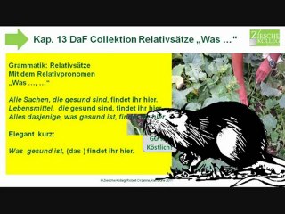 A2 Kap 13  DaF Collektion Relativsätze mit "Was ..., ..."
