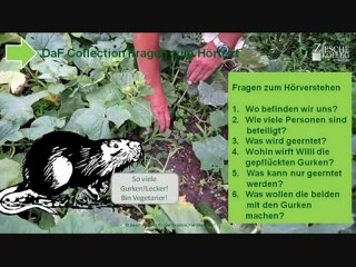 A1-B1 Fragen zum Video Wil erntet seine Gurken