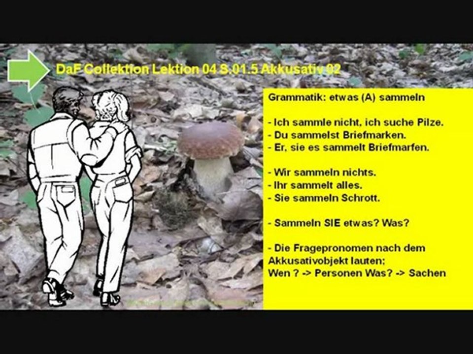 A1 Lesetext Grammatik sammeln