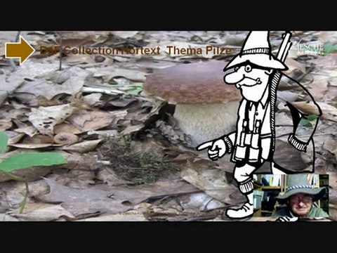 Kurs A1-B1 Alles um Pilze Hörtext zum Steinpilz